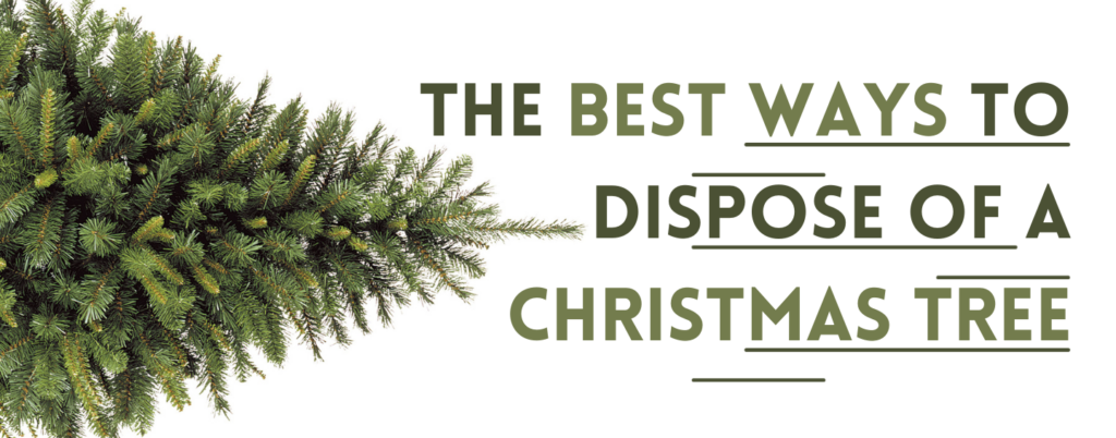 Christmas tree disposal blog